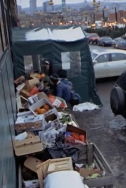 Постер: Surfing the Waste: a Musical Documentary about Dumpster Diving