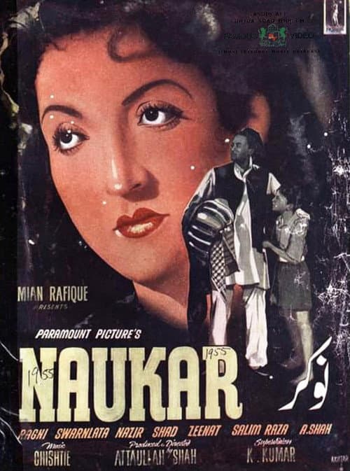 Постер: Naukar