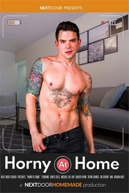 Постер: Horny at Home