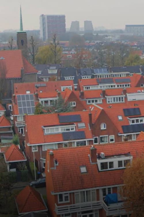 Постер: Van krot tot Vinex: 100 jaar wonen