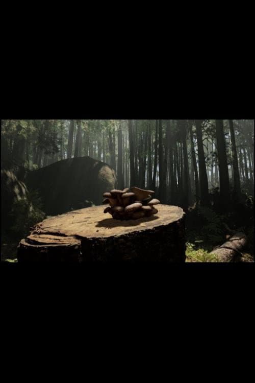 Постер: Forager