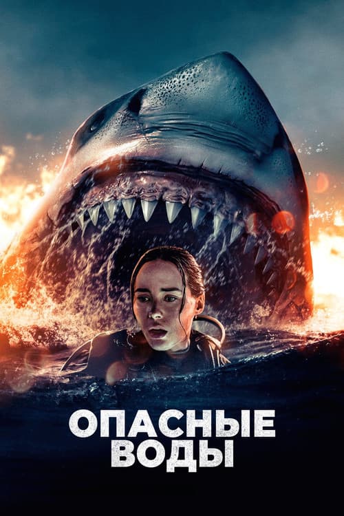 Постер 5