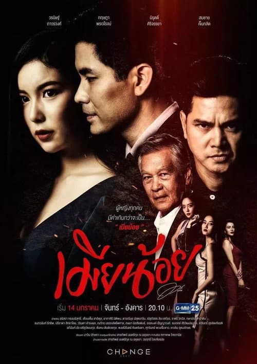 Постер: เมียน้อย