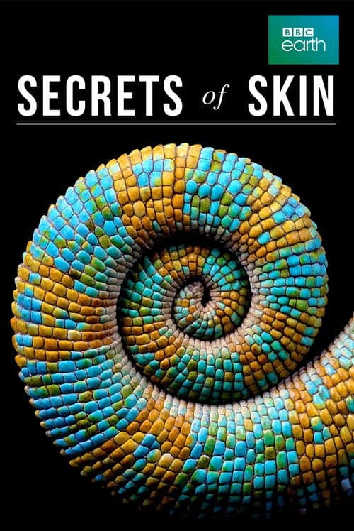 Постер: Secrets of Skin
