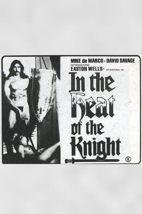 Постер: In the Heat of the Knight