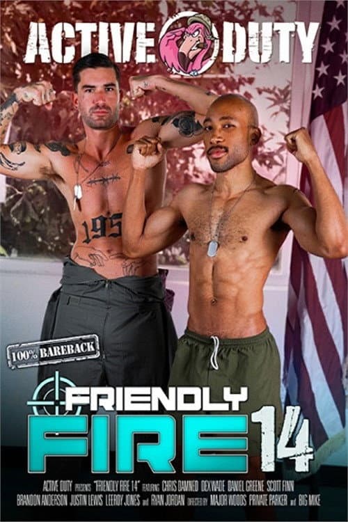 Постер: Friendly Fire 14