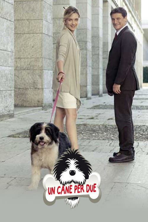 Постер: Un cane per due