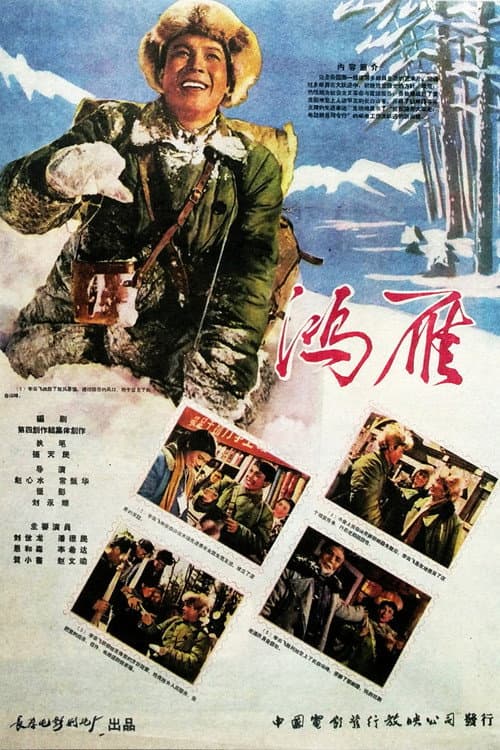 Постер: 鸿雁