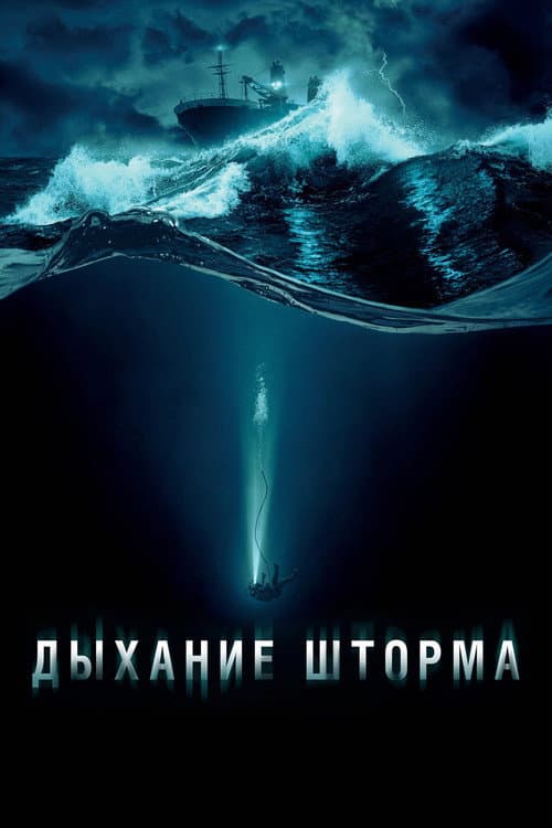Кадр 5