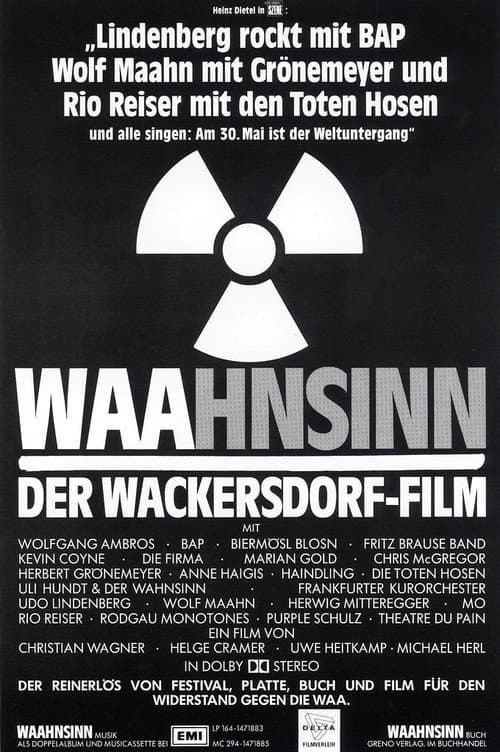 Постер: WAAhnsinn - der Film