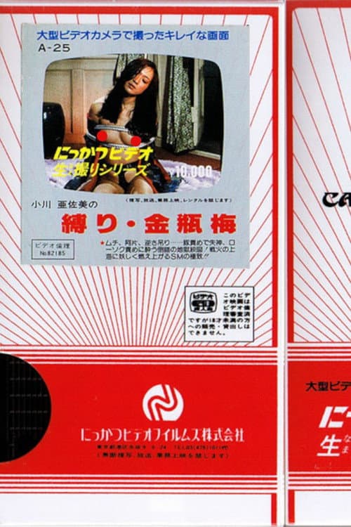 Постер: 小川亜佐美の 縛り・金瓶梅
