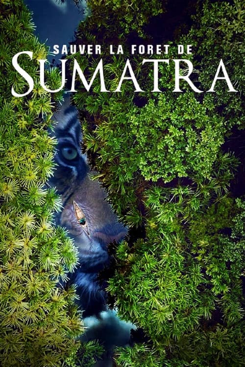 Постер: Sauver la forêt de Sumatra