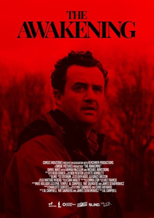 Постер: The Awakening