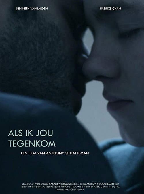 Постер: Als ik jou tegenkom