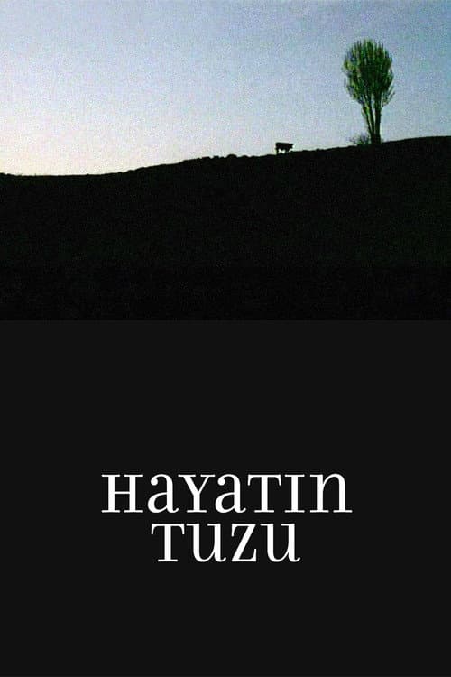 Постер: Hayatın Tuzu