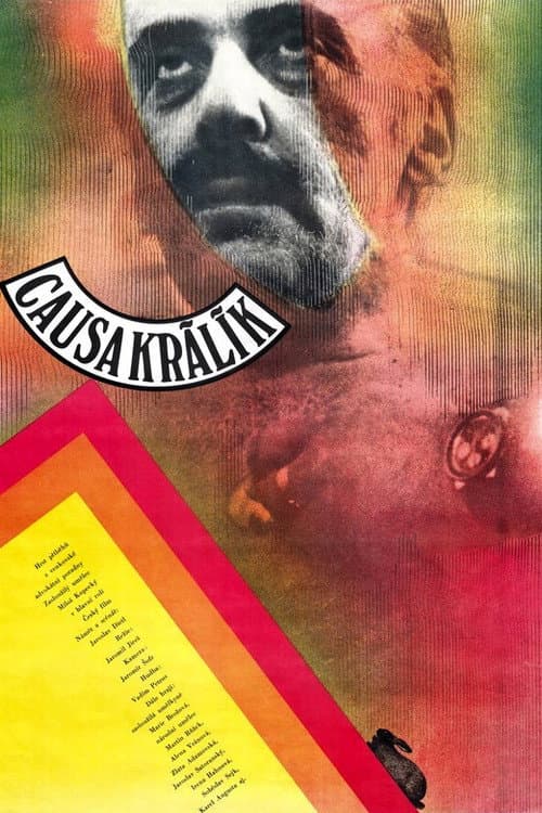 Постер: Causa Králík
