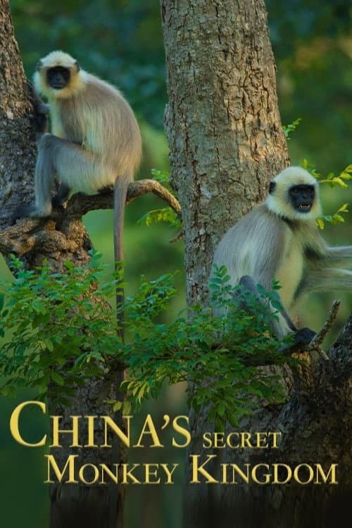 Постер: China's Secret Monkey Kingdom