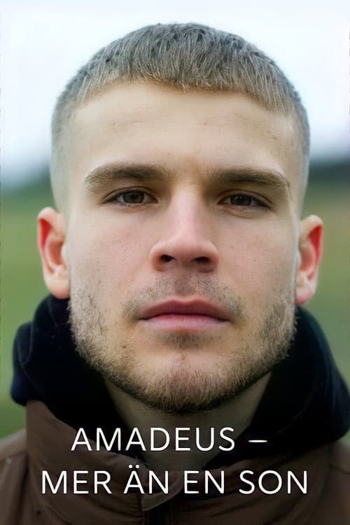 Постер: Amadeus - mer än en son
