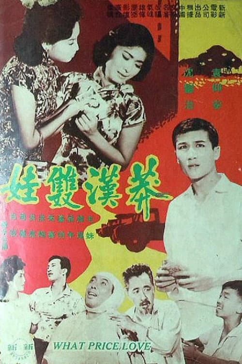 Постер: 浪子雙娃