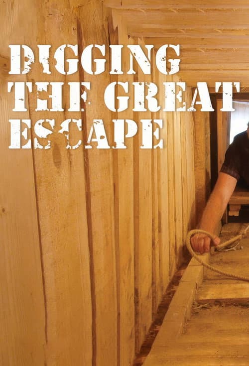 Постер: Digging The Great Escape