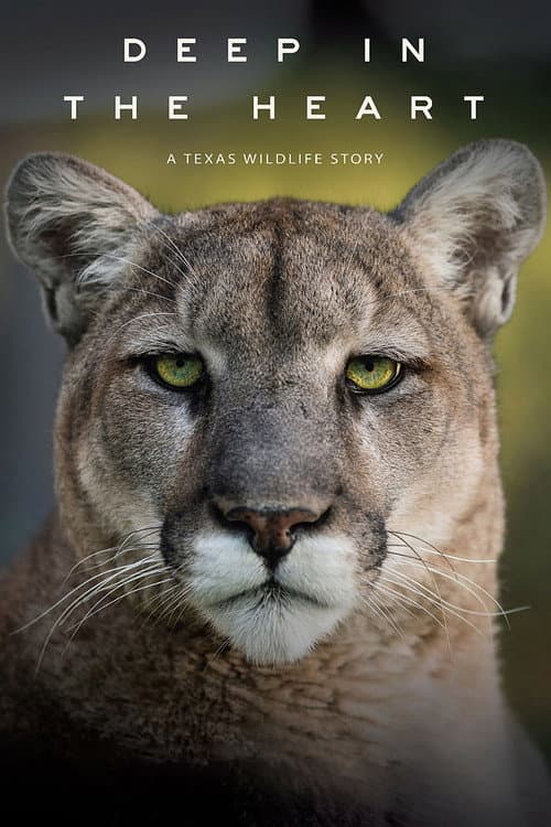 Постер: Deep in the Heart: A Texas Wildlife Story