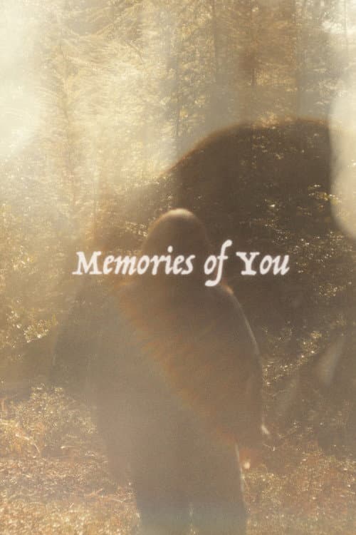Постер: Memories of You