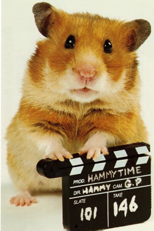 Постер: Once Upon a Hamster