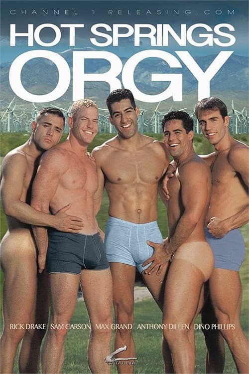 Постер: Hot Springs Orgy