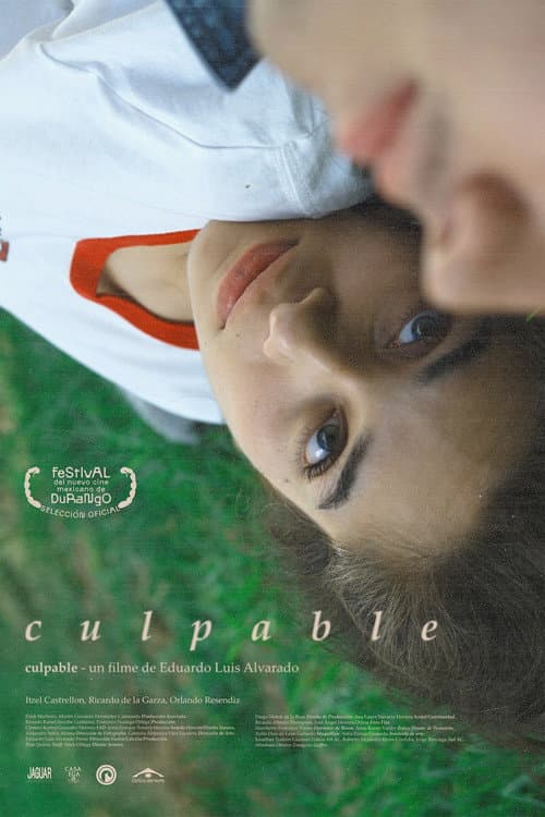 Постер: Culpable
