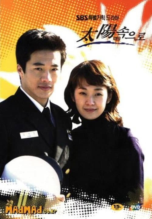 Постер: 태양속으로