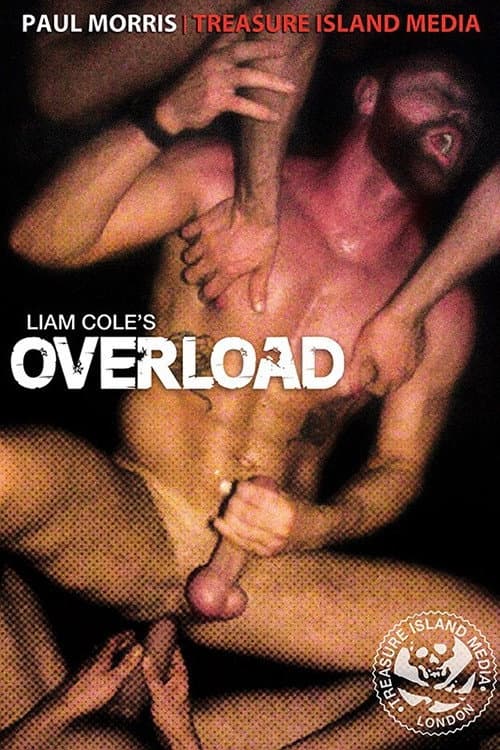 Постер: Overload