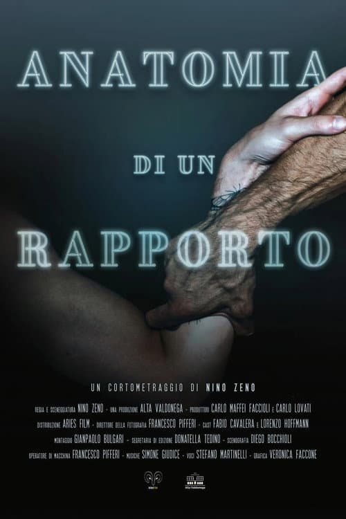 Постер: Anatomia di un rapporto