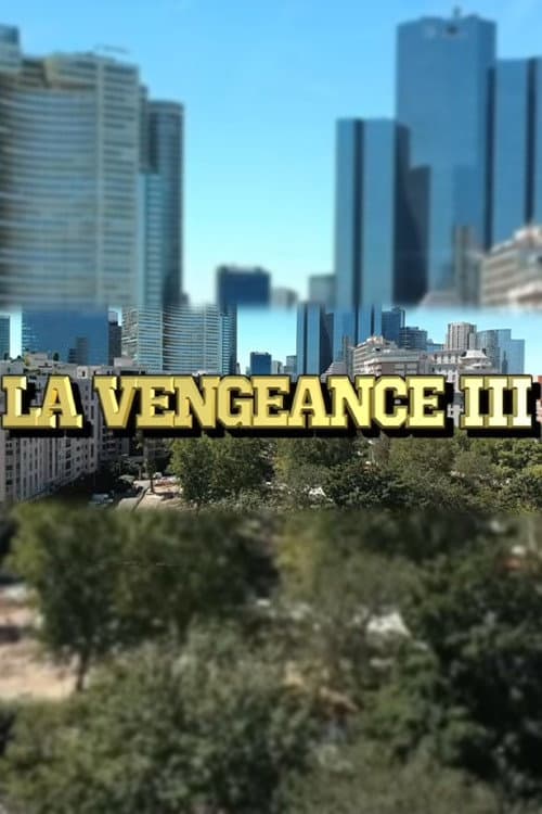 Постер: La Vengeance 3