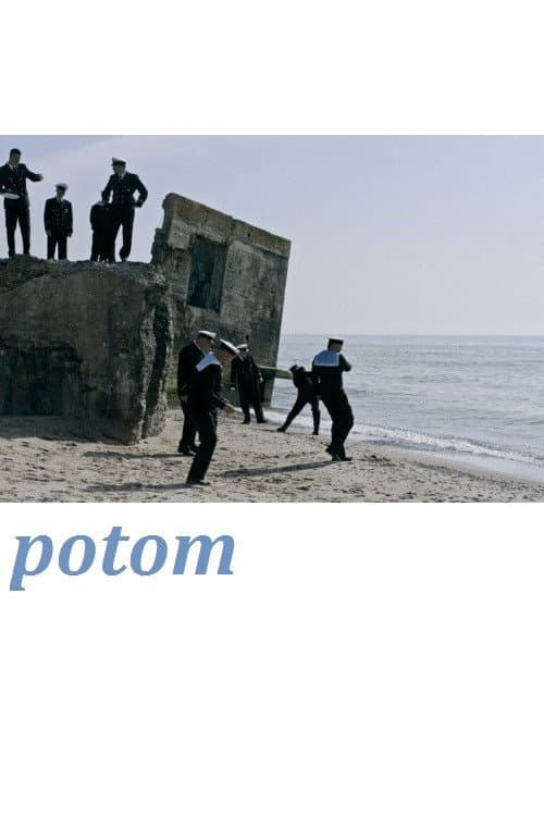 Постер: Potom