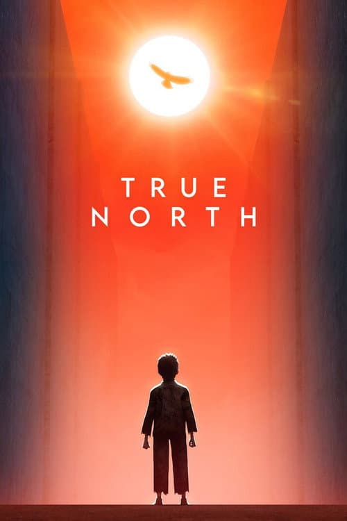 Постер: True North