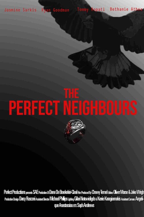 Постер: The Perfect Neighbours