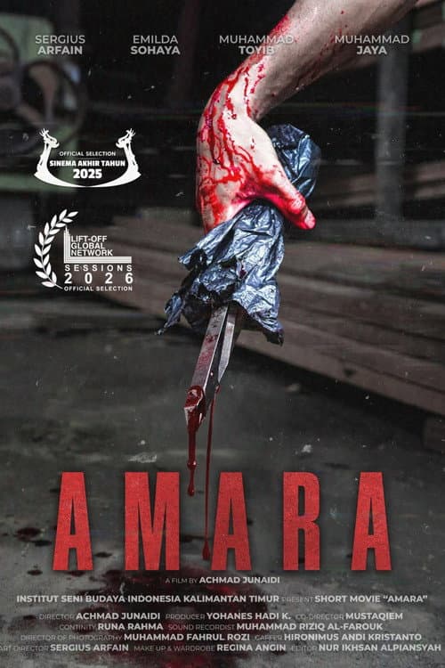 Постер: Amara