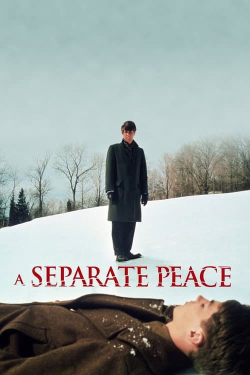 Постер: A Separate Peace
