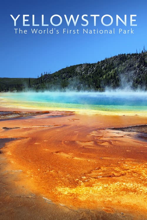 Постер: National Parks Exploration Series: Yellowstone