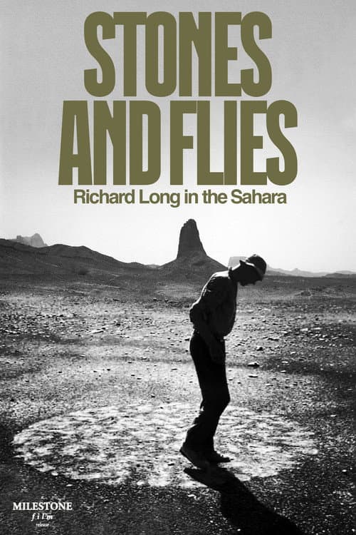 Постер: Stones and Flies: Richard Long in the Sahara