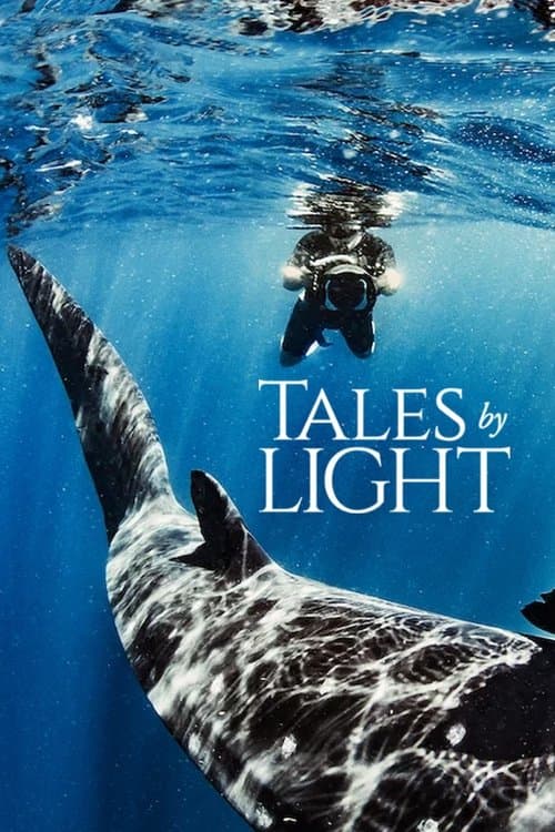 Постер: Tales by Light