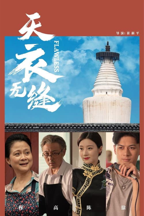 Постер: 天衣无缝