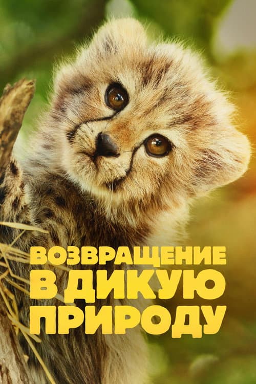 Постер: Возвращение в дикую природу
