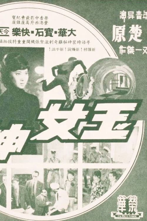 Постер: 玉女神偷