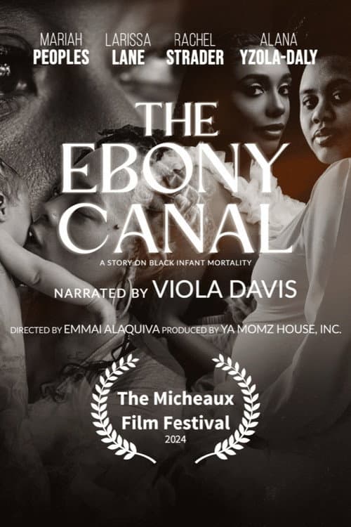 Постер: The Ebony Canal: A Story of Black Infant Mortality