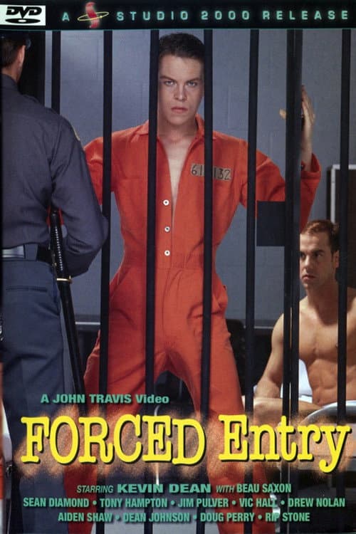 Постер: Forced Entry