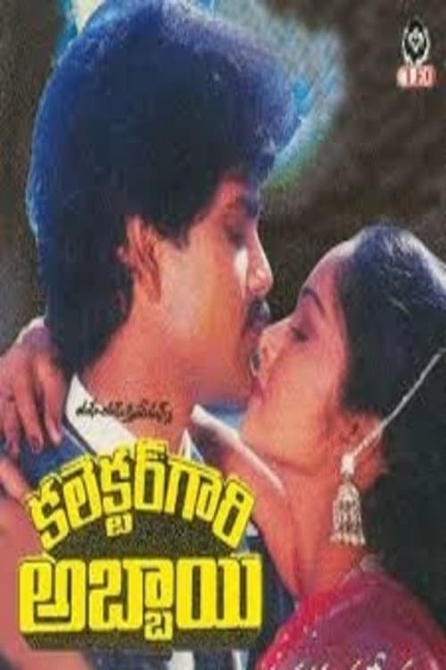Постер: కలెక్టర్ గారి అబ్బాయి