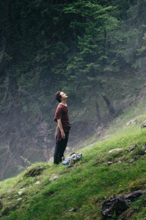 Постер: Der Wanderer