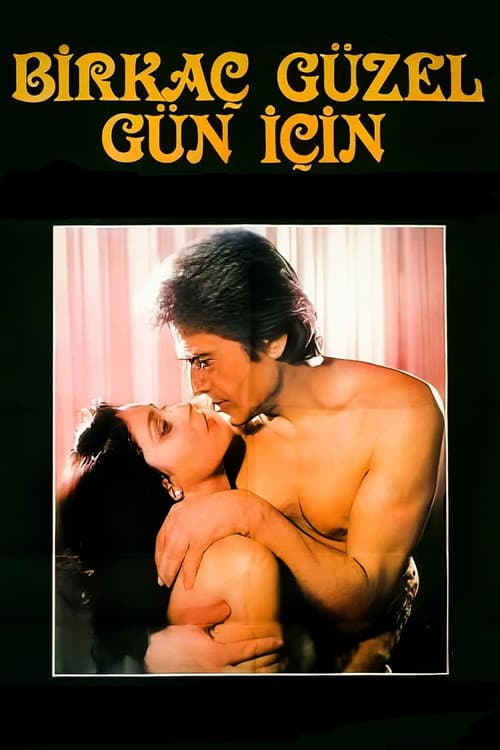 Постер: Birkaç Güzel Gün İçin