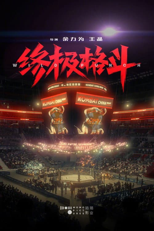 Постер: 终极格斗